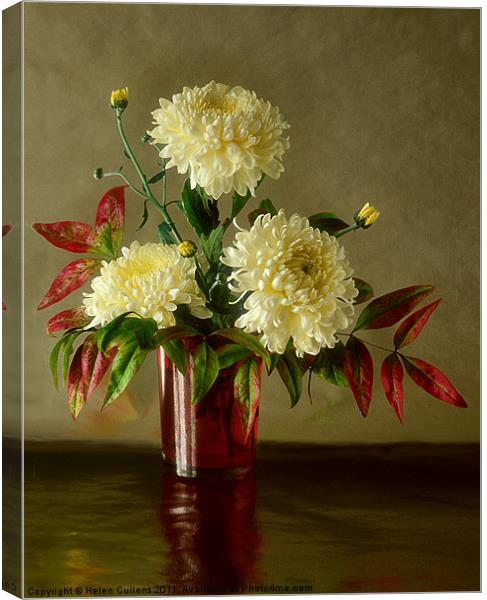 CHRYSANTHEMUMS Canvas Print by Helen Cullens