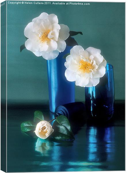 CAMELLIAS Canvas Print by Helen Cullens