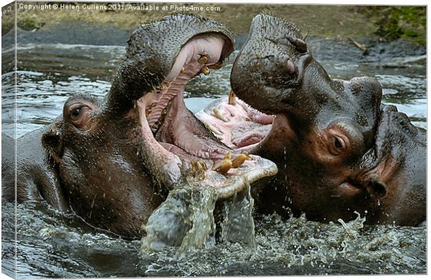 MY MOUTH'S BIGGER THAN YOURS Canvas Print by Helen Cullens