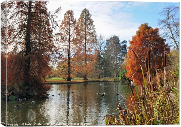 AUTUMN AT WISLEY Canvas Print by Helen Cullens