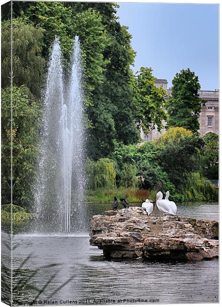 PELICANS IN THE PARK Canvas Print by Helen Cullens