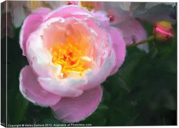 PINK PEONY Canvas Print by Helen Cullens