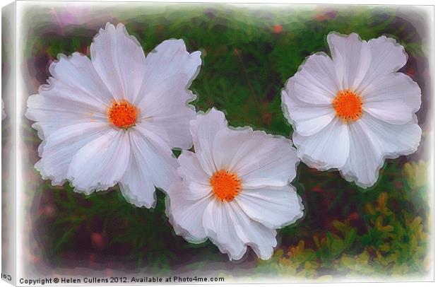 WHITE DAISIES Canvas Print by Helen Cullens