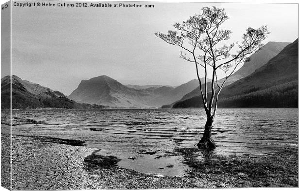 BUTTERMERE TREE Canvas Print by Helen Cullens