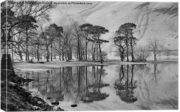 THE BUTTERMERE PINES Canvas Print by Helen Cullens