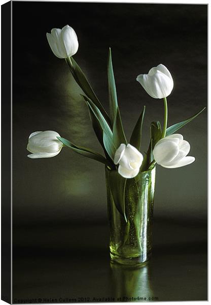 WHITE TULIPS Canvas Print by Helen Cullens