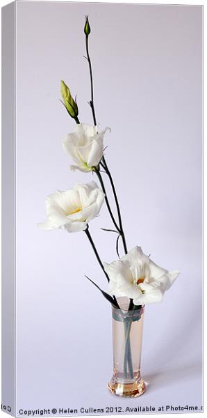 LISIANTHUS Canvas Print by Helen Cullens