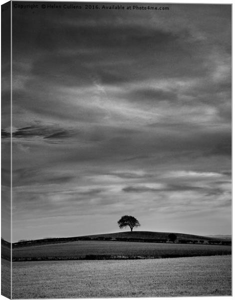 LONESOME TREE                                     Canvas Print by Helen Cullens