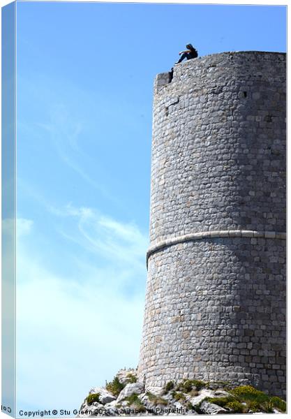 The Thinking Tower Canvas Print by Stu Green