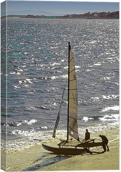 Sailing Canvas Print by Derek Vines