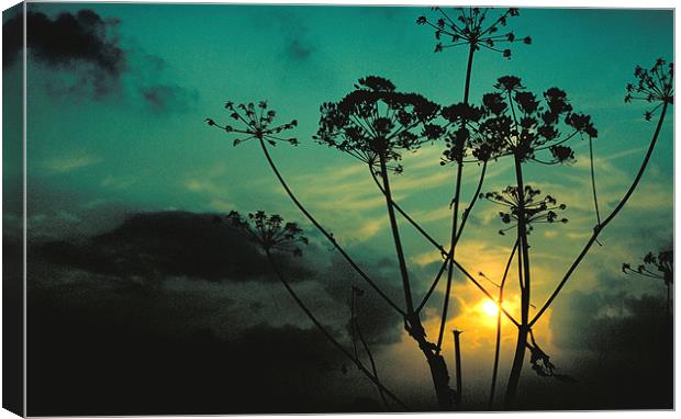 Sunset Canvas Print by Derek Vines