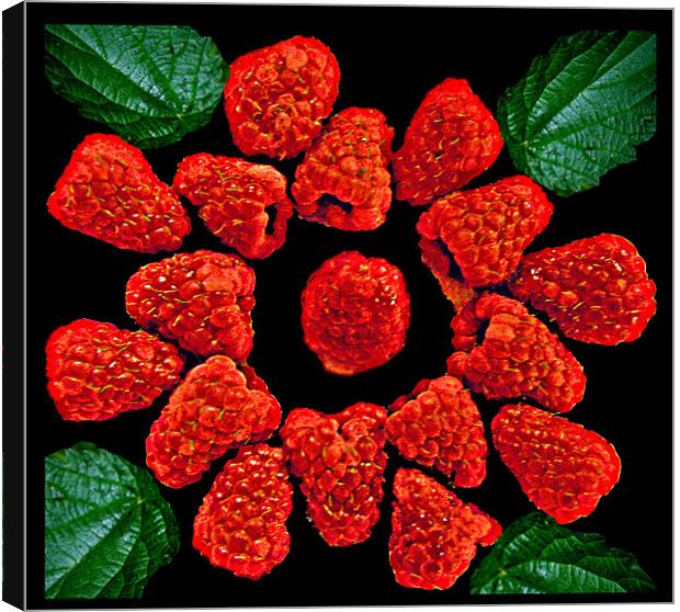 English Raspberries Canvas Print by Derek Vines