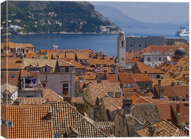old town roofs Canvas Print by radoslav rundic