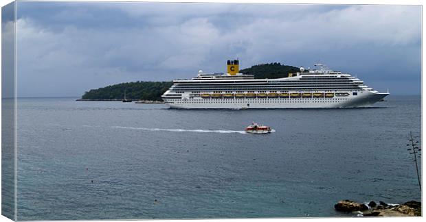 cruiser passing by Locrum island Canvas Print by radoslav rundic