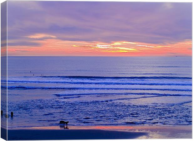 SAN FRANCISCO'S BEACH Canvas Print by radoslav rundic