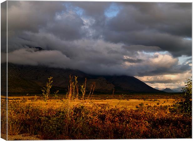 AFTER THE STORM Canvas Print by radoslav rundic