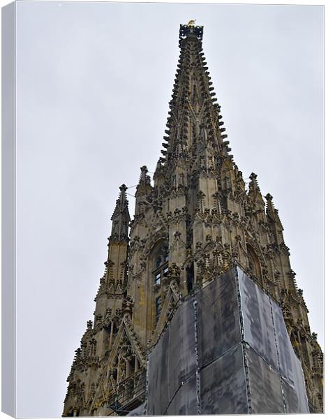 St.STEPHAN'S CATHEDRAL TOWER Canvas Print by radoslav rundic