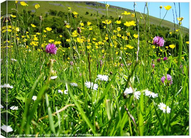 Meadow Flowers, Swaledale Canvas Print by Marianne Fuller