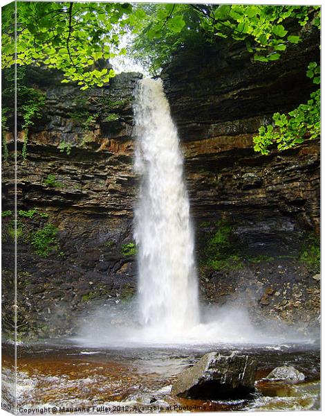 Hardraw Force Canvas Print by Marianne Fuller