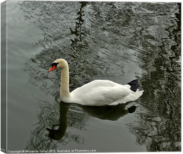 Swan on Marbled Water Canvas Print by Marianne Fuller