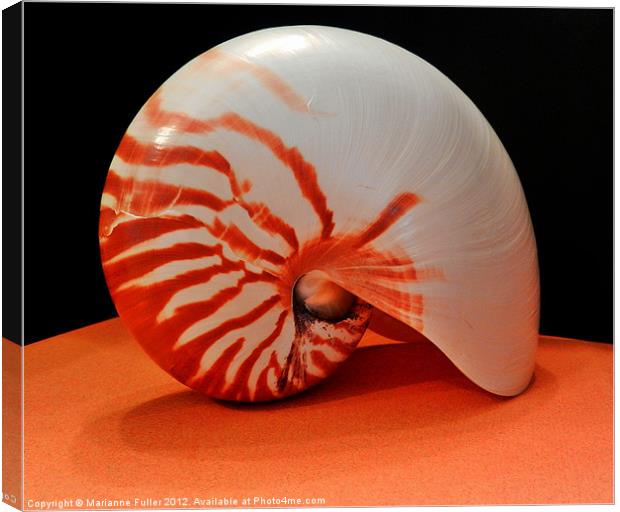 Nautilus Sea Shell Canvas Print by Marianne Fuller