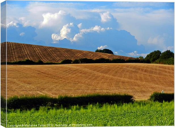 Combed Fields Canvas Print by Marianne Fuller