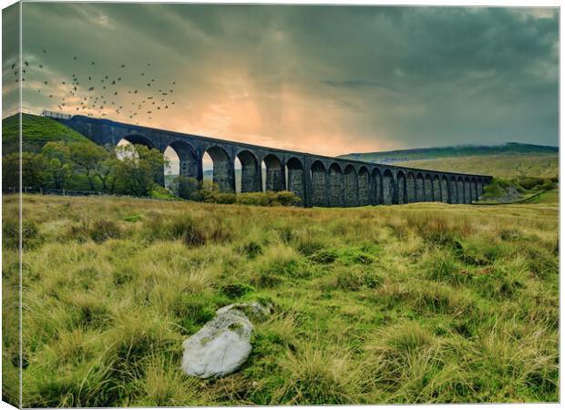 Ribblehead viaduct 2 Canvas Print by David Martin