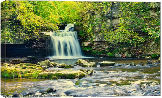 Bishopdale waterfall 4 Canvas Print by David Martin