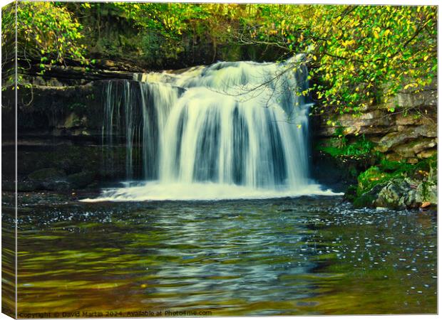 Bishopdale waterfall 3 Canvas Print by David Martin