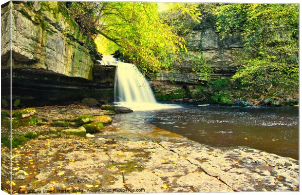 Bishopdale waterfall 7 Canvas Print by David Martin