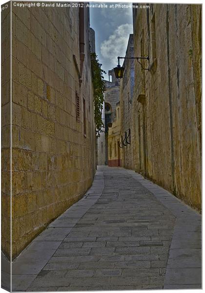 An Alley in Malta Canvas Print by David Martin