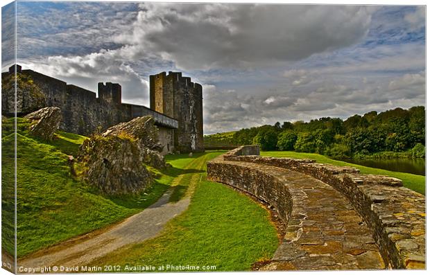 Caerphilly Castle Wales Canvas Print by David Martin