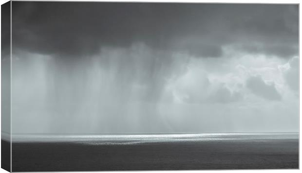  Rain Canvas Print by David Martin