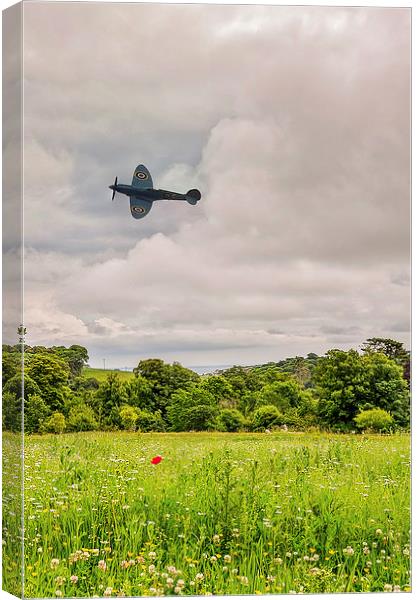  Spitfire Canvas Print by David Martin