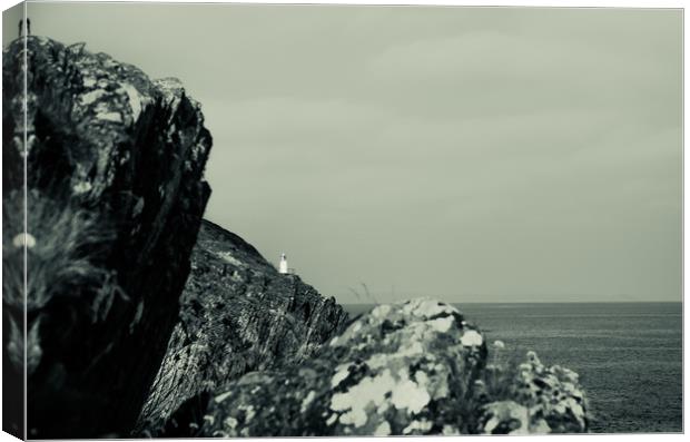 Polperro Light House Canvas Print by David Martin