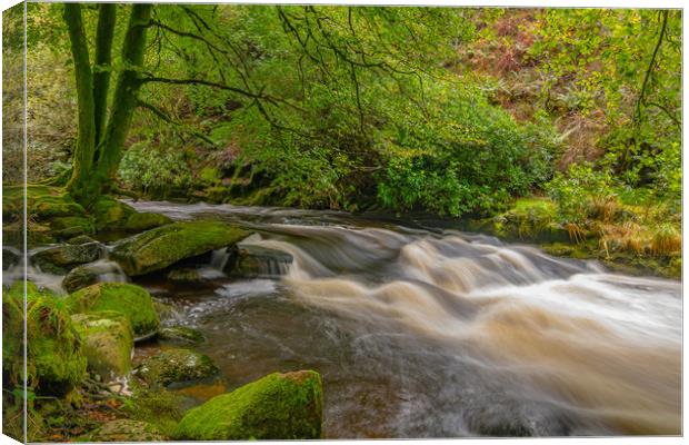 Shipley Bridge-13 Canvas Print by David Martin