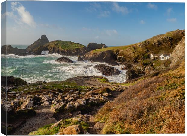 Kynance cove Canvas Print by David Martin