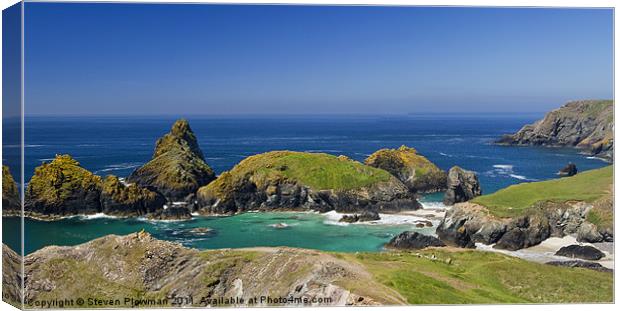 Cornish panorama Canvas Print by Steven Plowman