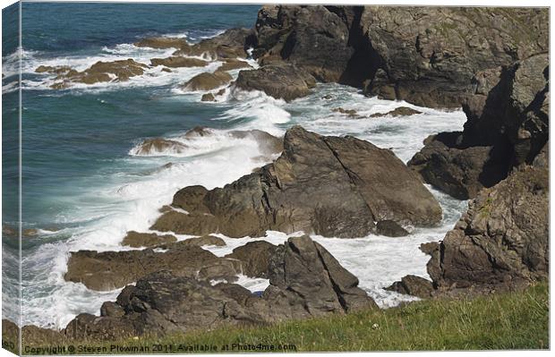 Old man of the sea. Canvas Print by Steven Plowman