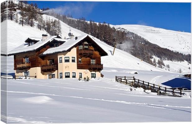 The Alpine chalet  Canvas Print by Steven Plowman