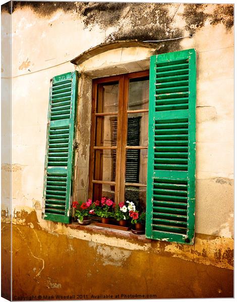 Classic Spanish Window with Flowers Canvas Print by Mark Woodall