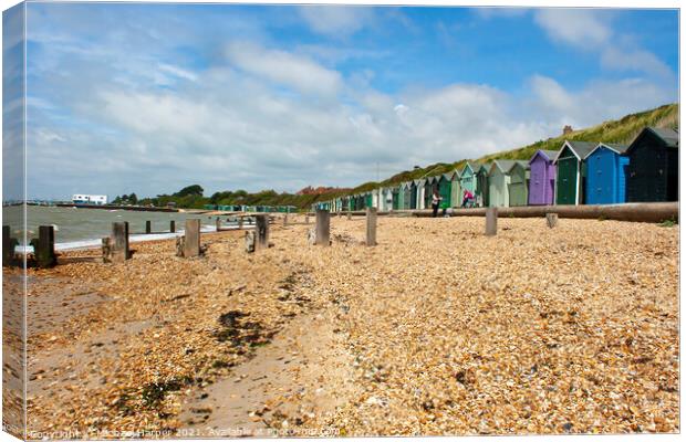 Beach Huts on the Hampshire coast in the South of England Canvas Print by Michael Harper