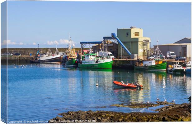 Trawlers at the quayside at Ardglass Harbour Northern Ireland Canvas Print by Michael Harper