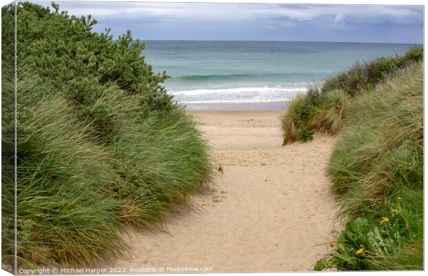 Sand dunes and the beach at Port Ballintrae  Canvas Print by Michael Harper