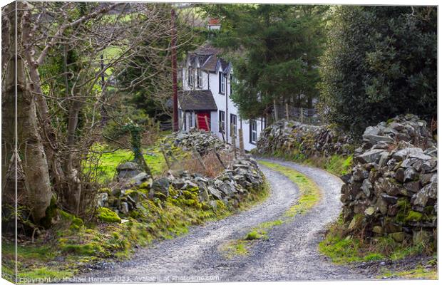 A Large dwelling house located in a narrow country lane in  The  Canvas Print by Michael Harper