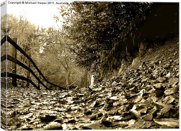 Crawfordsburn Country Park Canvas Print by Michael Harper