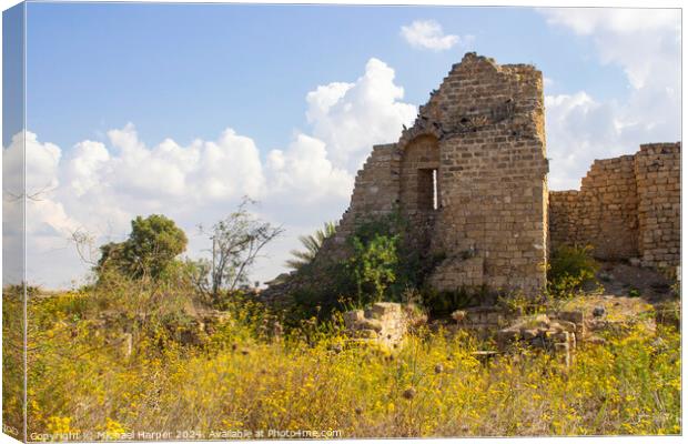 Wilflowers among the Ancient ruins in the historic Roman sttlement in Caeserea Mariti Canvas Print by Michael Harper