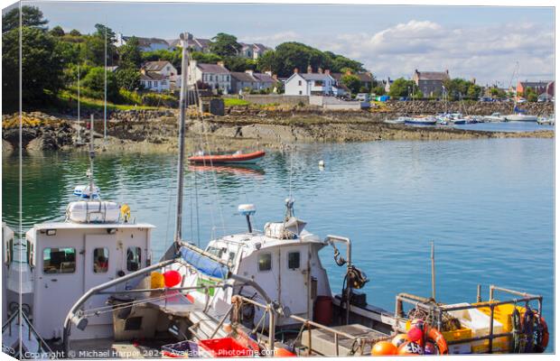 A view of Ardglass village main street from across the harbour  Canvas Print by Michael Harper