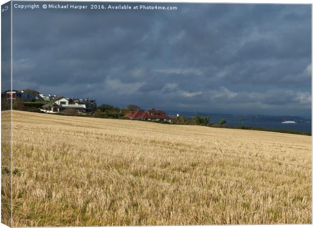 Barley Stubble in sunlight as storm clouds gather Canvas Print by Michael Harper