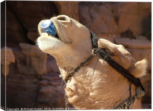 Have a Drink on Me. Camel helps himself to a soft  Canvas Print by Michael Harper